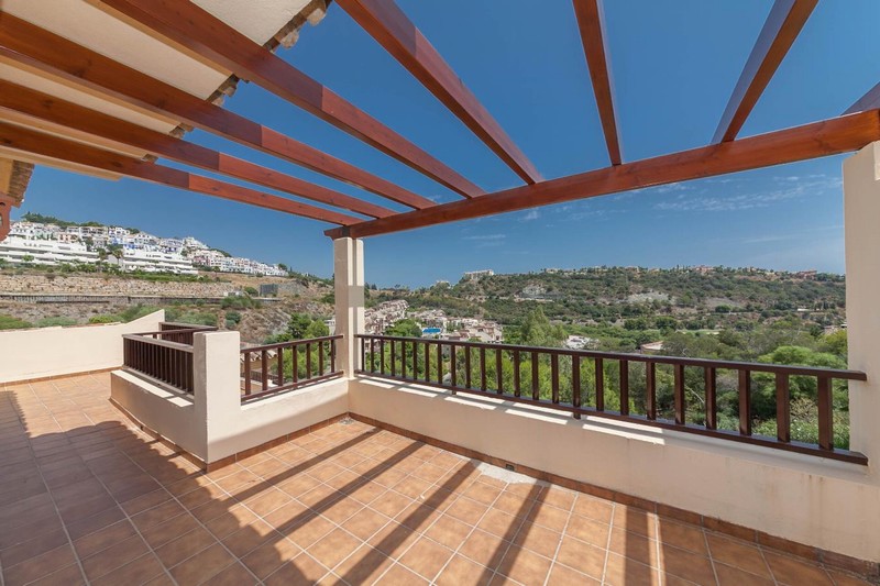 Terrace views