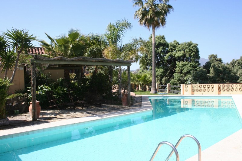 Garden and pool