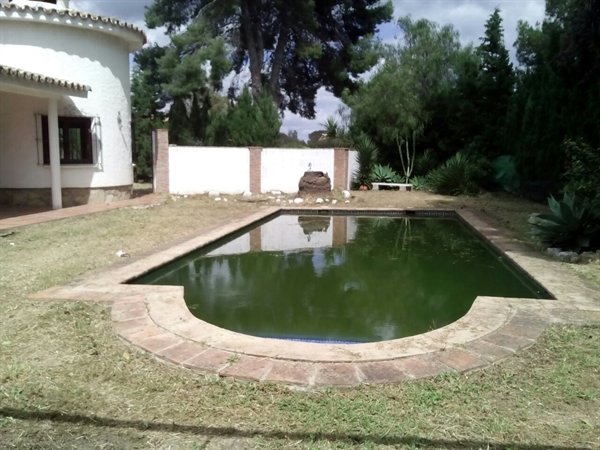Zwembad