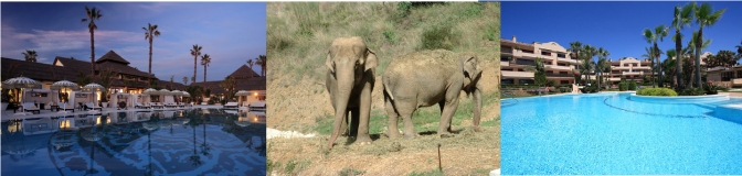 New Golden Mile New Golden Mile