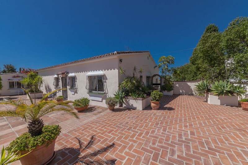 extensive terraces extensive terraces