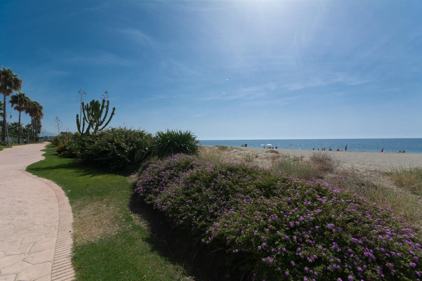 paseo maritimo Costalita paseo maritimo Costalita