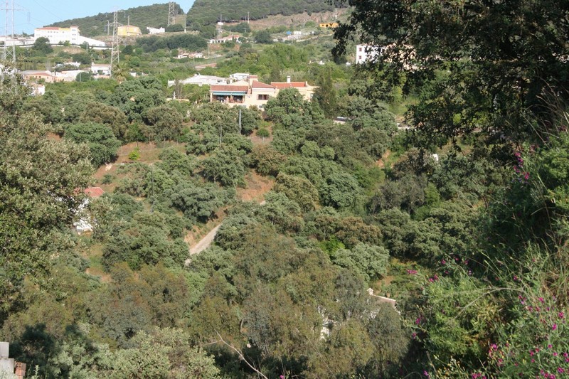 Ubicación Ubicación