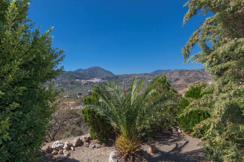 View from country villa in Monda for sale Country villa in Monda View