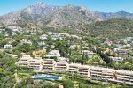 Condado de Sierra Blanca Marbella (6)