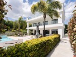 Nueva Andalucia luxury villa (10)