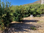 La Cala country house (12)