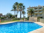 Mimosas La Cala (25)