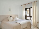Mimosas La Cala (41)