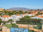 Mimosas La Cala (29)