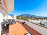 Jardines de Andalucia_30