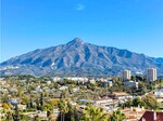 Jardines de Andalucia_5