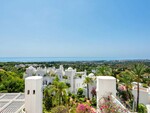 Jardines Colgantes Marbella_12