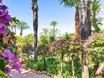 Bahia de Marbella_43