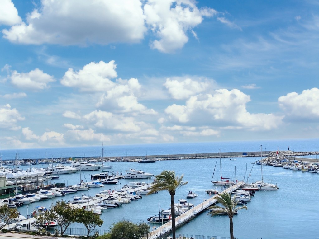 26-c684a62c9f160a1f90904dd925da0645_inPixio