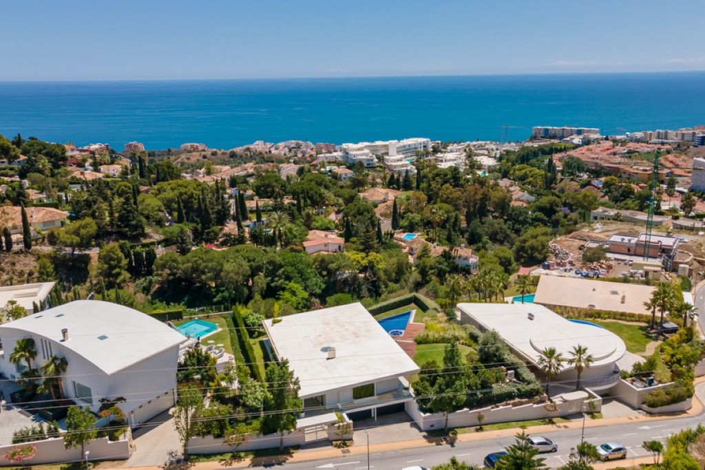 28-ef19a2c59920e2e087cd278a51b6dbf8_InPixio