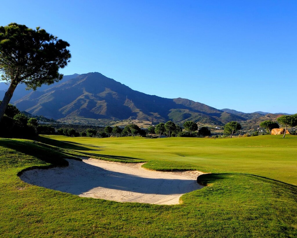 14-d70dc3102c00d7be0e872dfe1c1f86d7