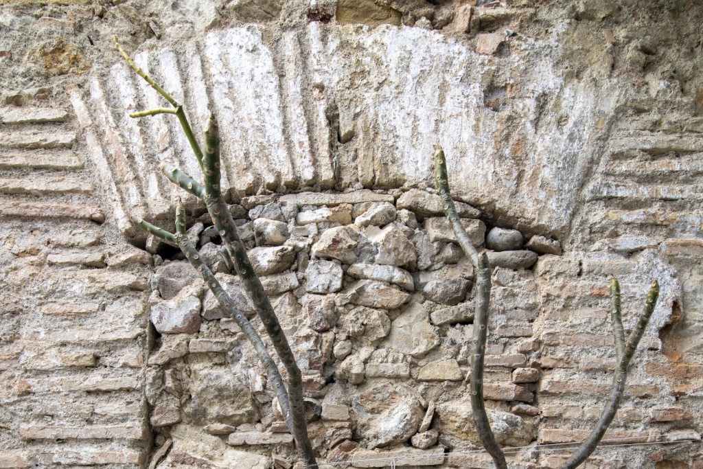 DSC_4455-scaled_inPixio