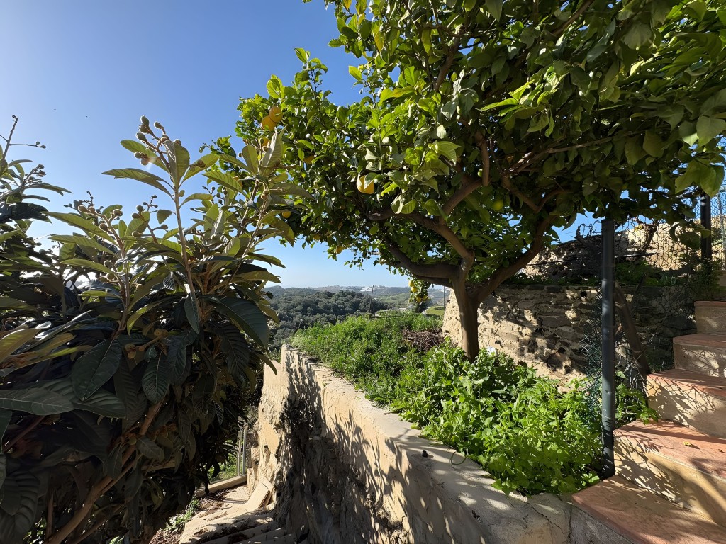 La Cala de Mijas Country Villa (35)