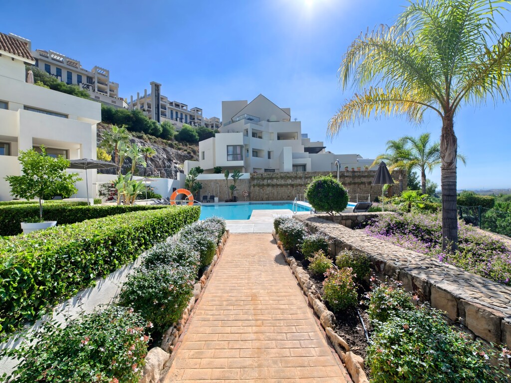 Tee 5 Los Flamingos, Penthouse (1) (Large)