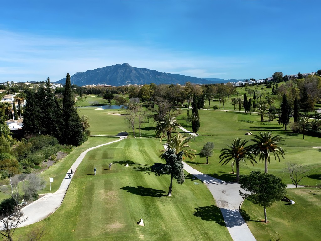 El Paraiso Alto villa for sale (20)