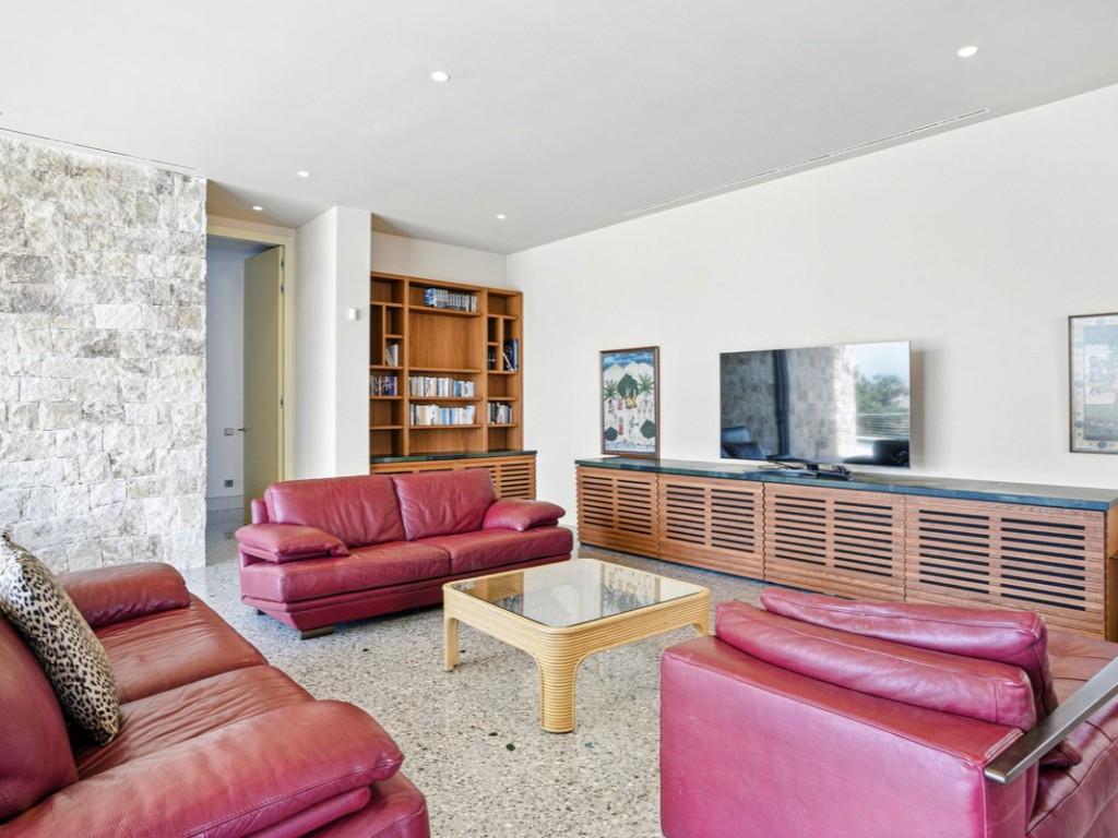 Luxury Elviria Villa (3)