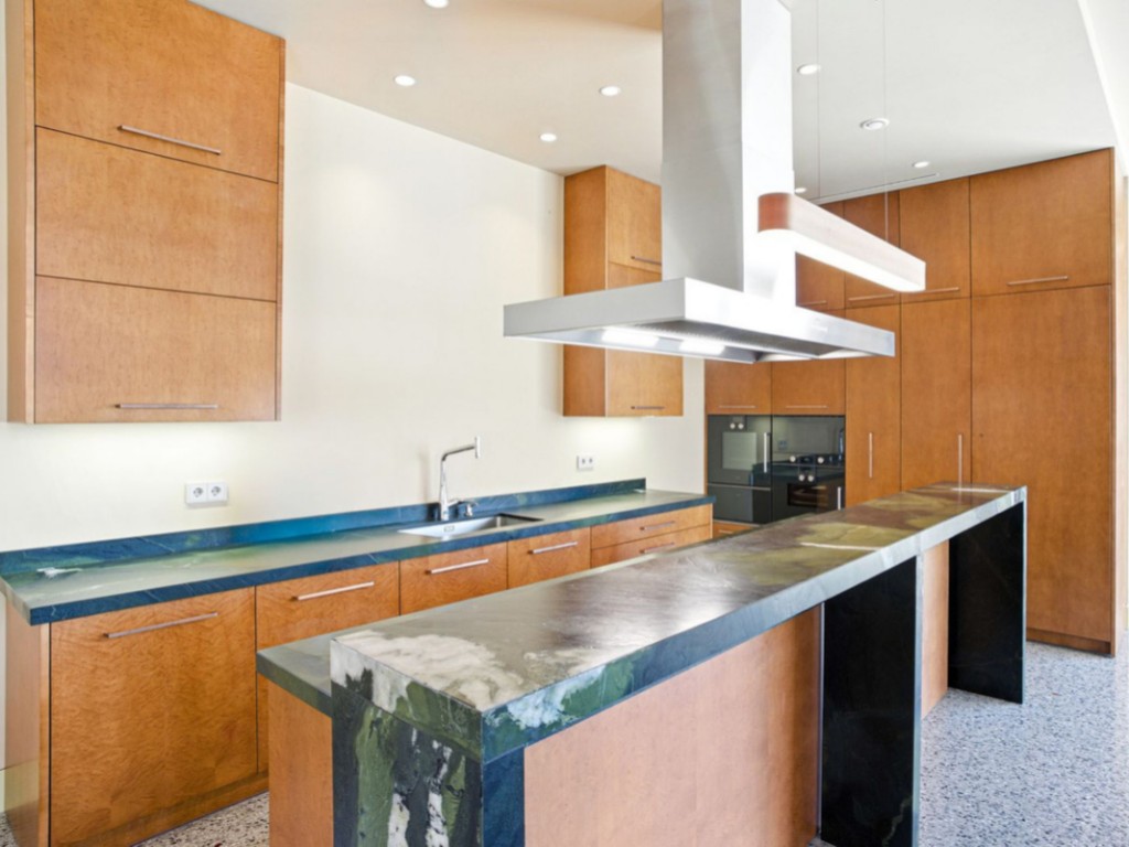 Luxury Elviria Villa (1)