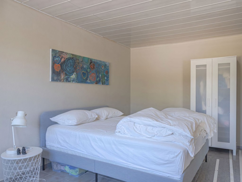 Alhaurin de La Torre country house (22)