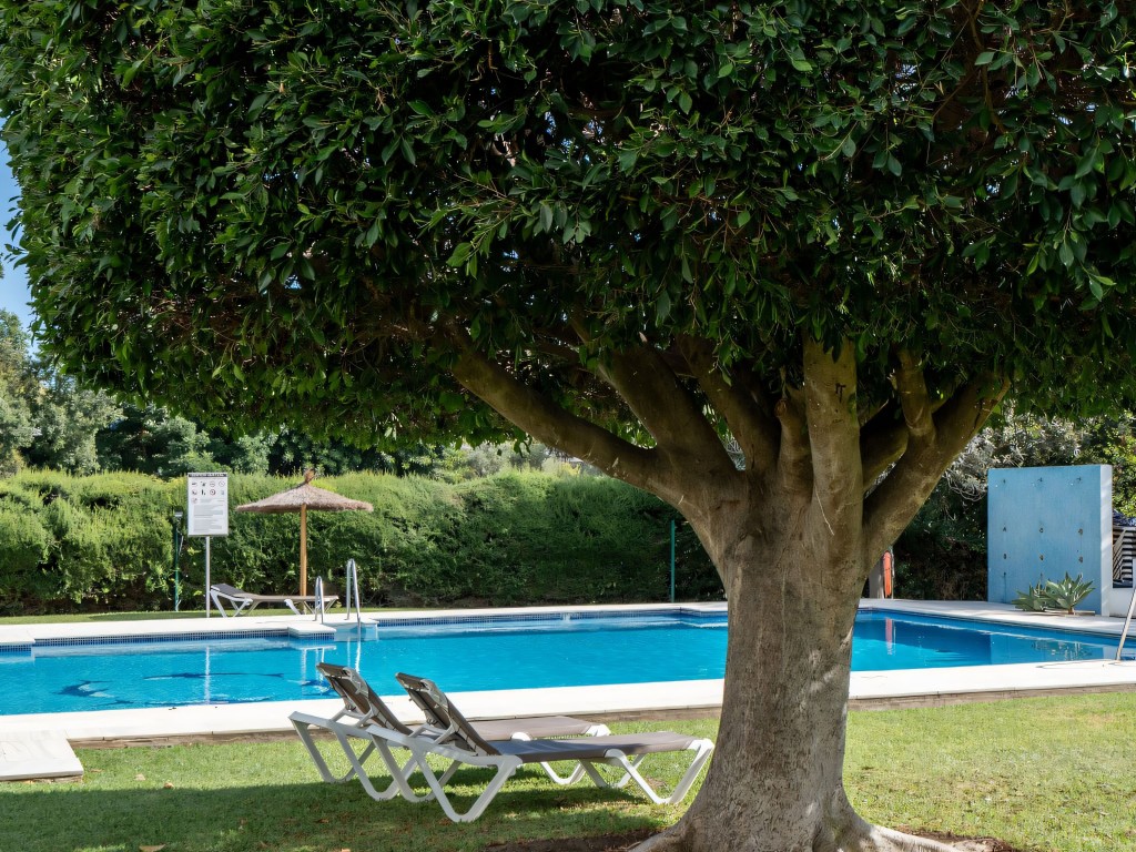 Quetzal Guadalmina Alta (10)