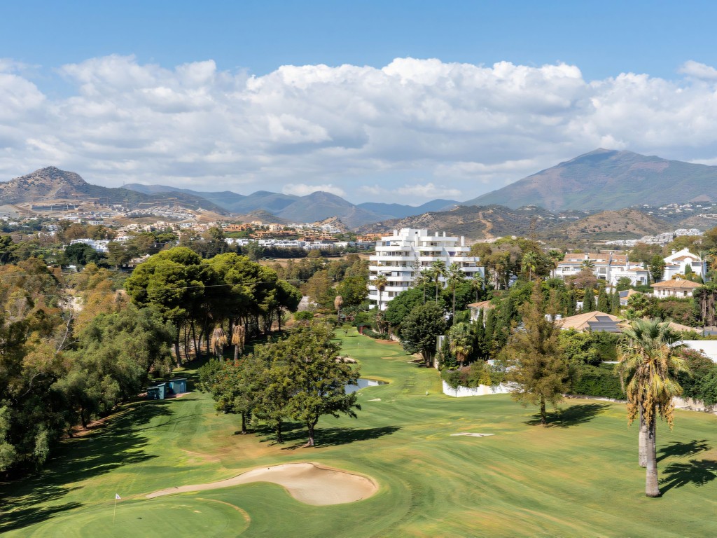 Quetzal Guadalmina Alta (9)