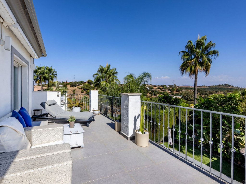 Alhaurin el Grande villa (39)