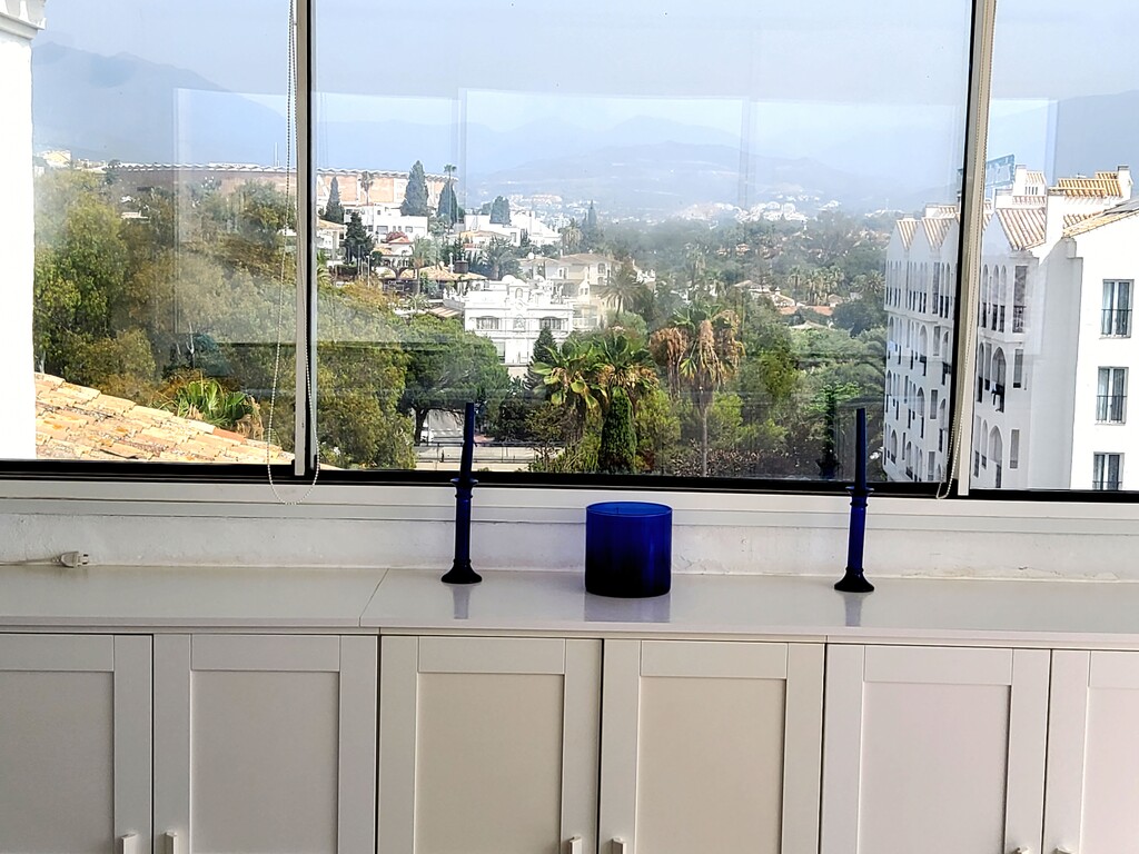 Jardines del Puerto Puerto Banus (4)