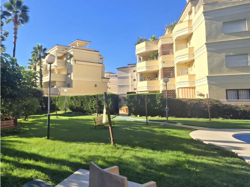 Palma Quebrada Benalmadena (33)