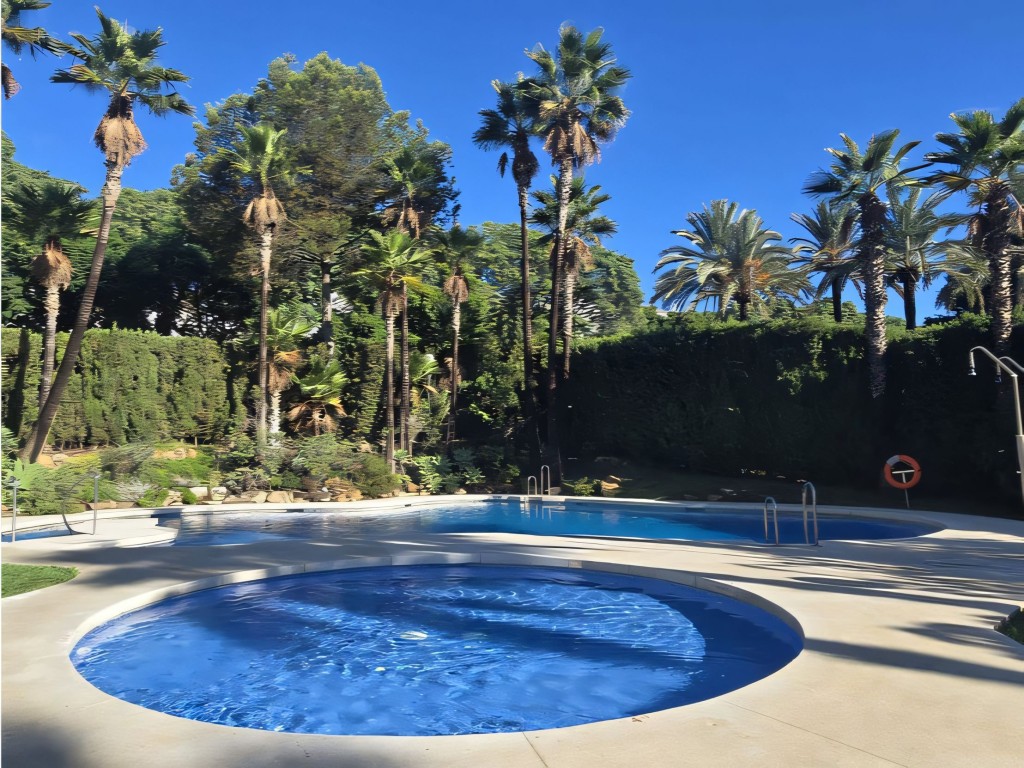 Palma Quebrada Benalmadena (40)