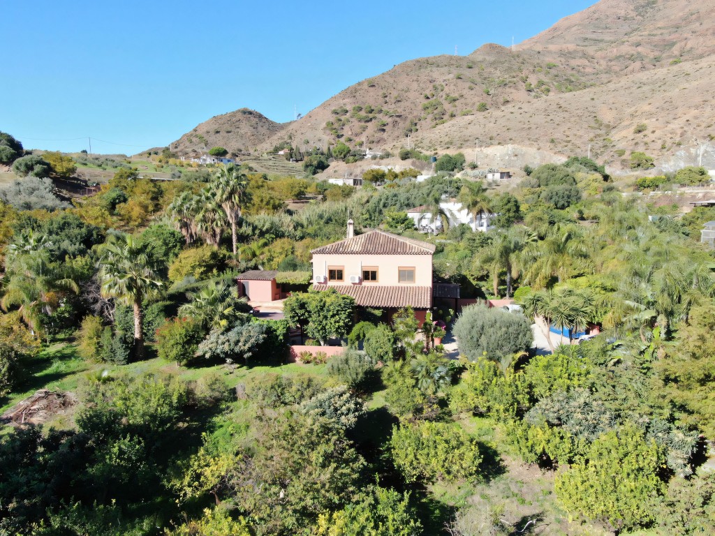 Estepona Finca (11)