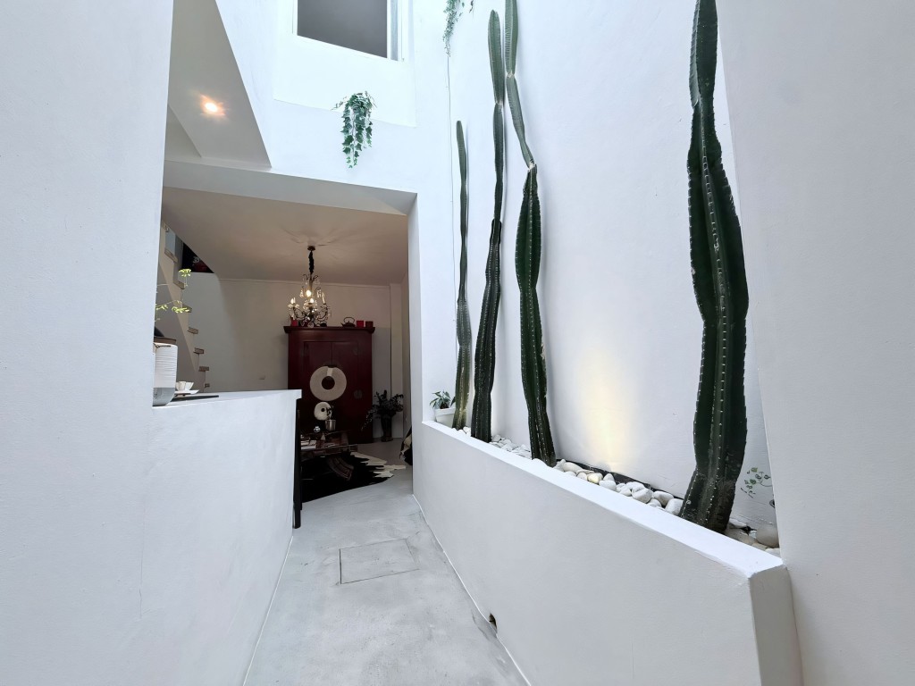 Coin renovated Townhouse (19)