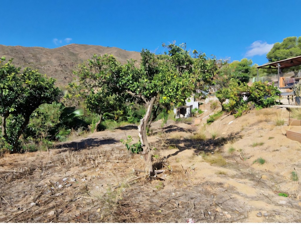 La Cala country house (17)