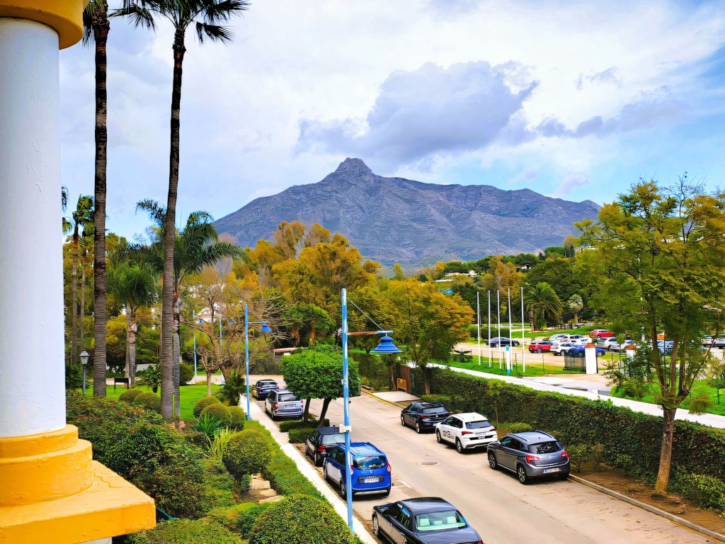 Dama de Noche Nueva Andalucia (19)