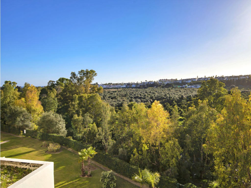 Edificio Quetzal Guadalmina (14)