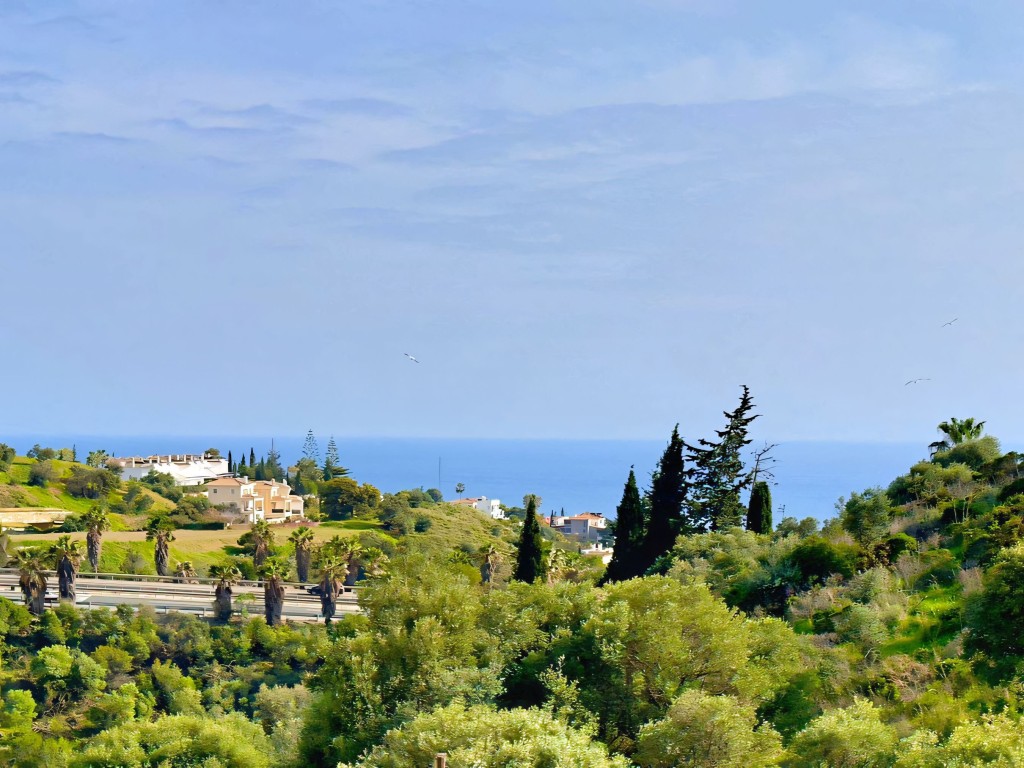 4 bedroom Mijas villa (29)