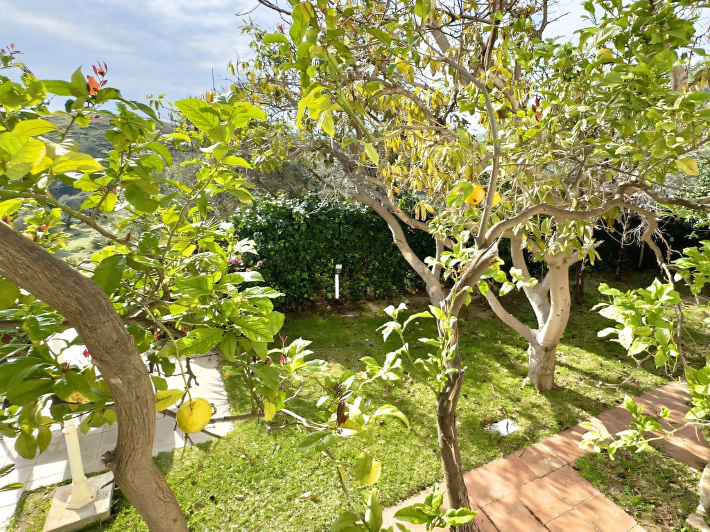 4 bedroom Mijas villa (20)