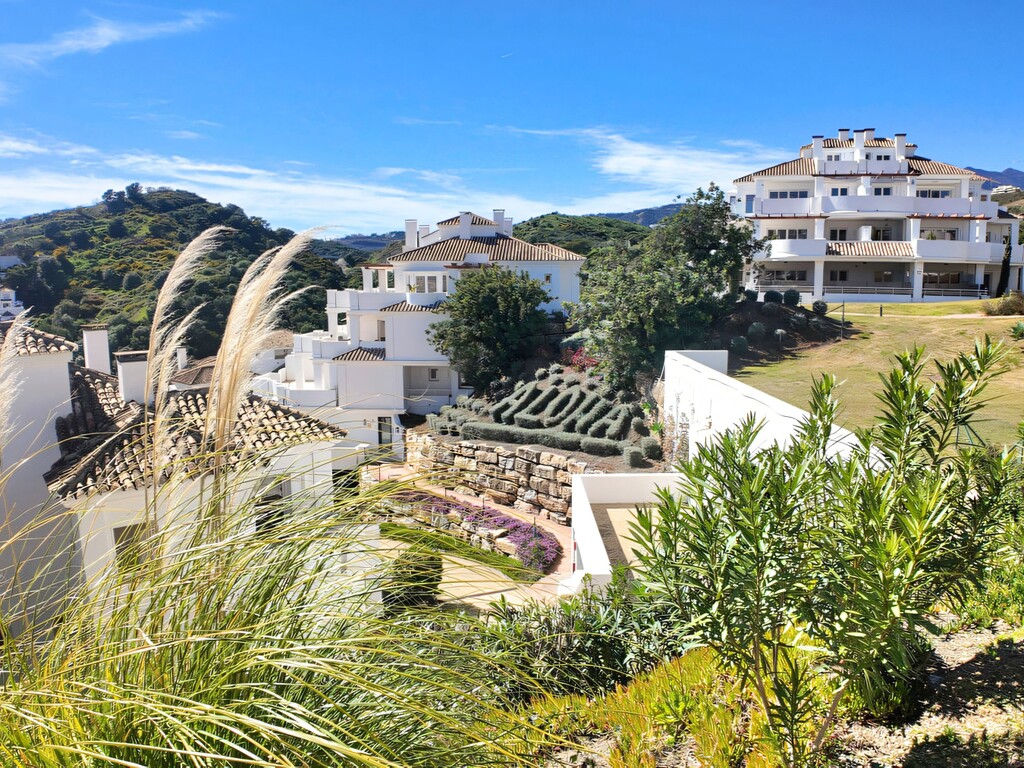 Be Aloha Nueva Andalucia (16)