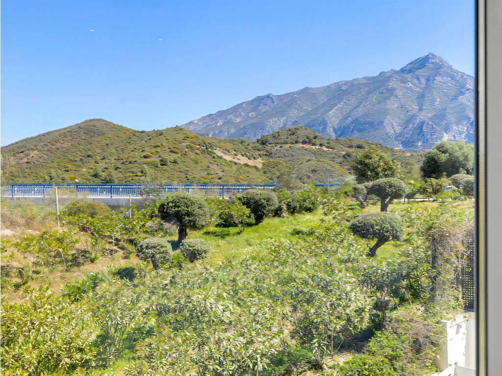 La Morelia Nueva Andalucia (41)