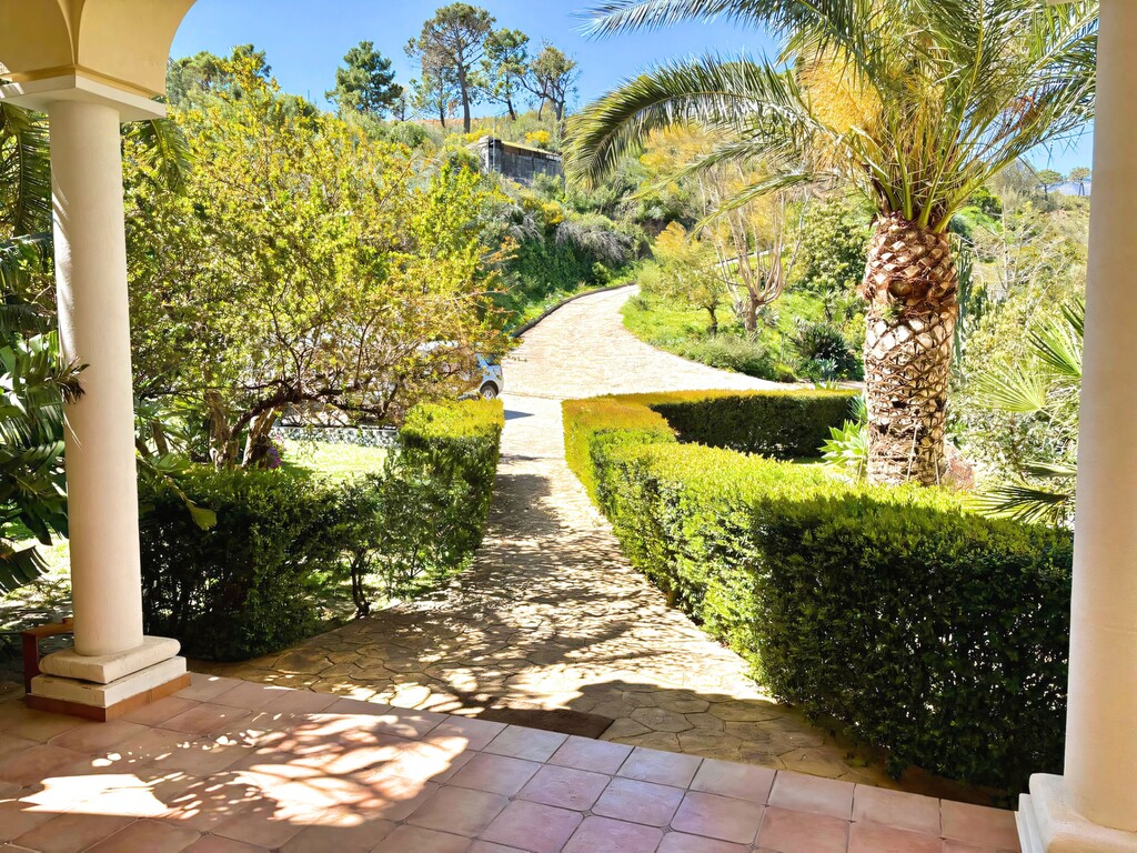 Forest Hills Country Villa (36)