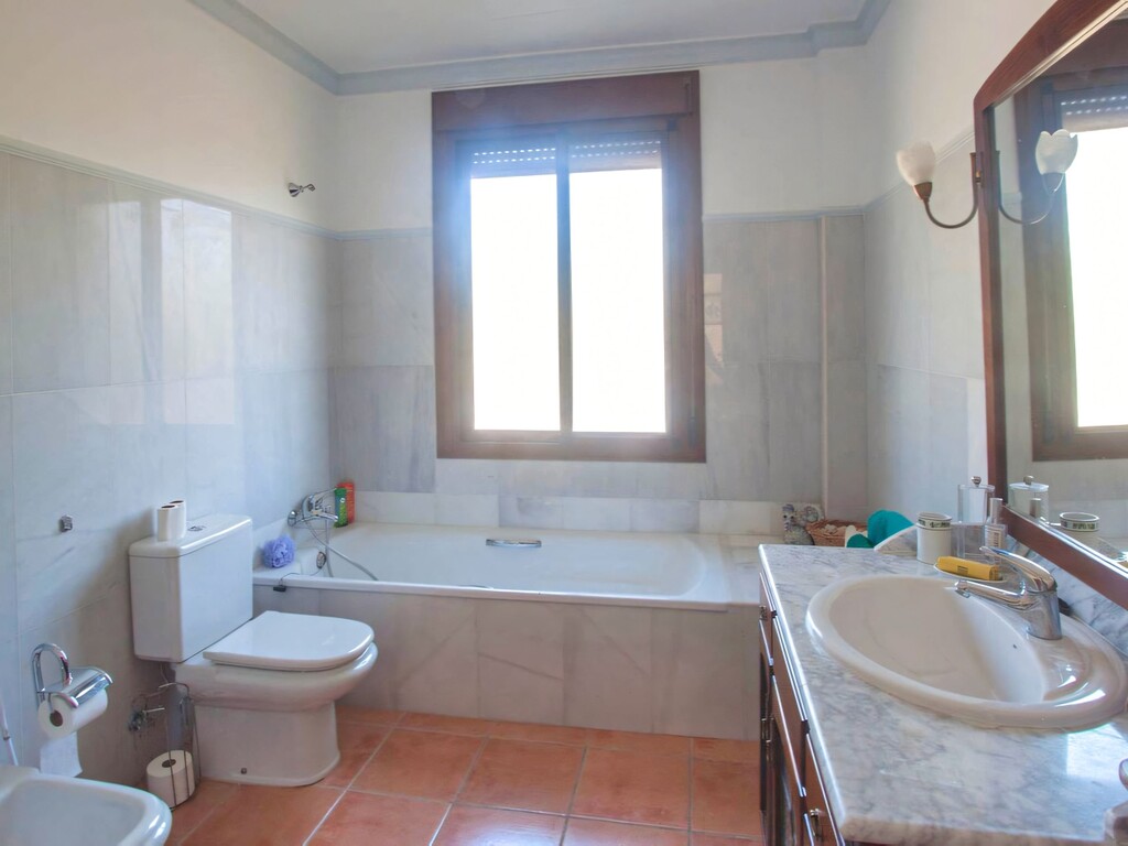 El Padron country villa (2)