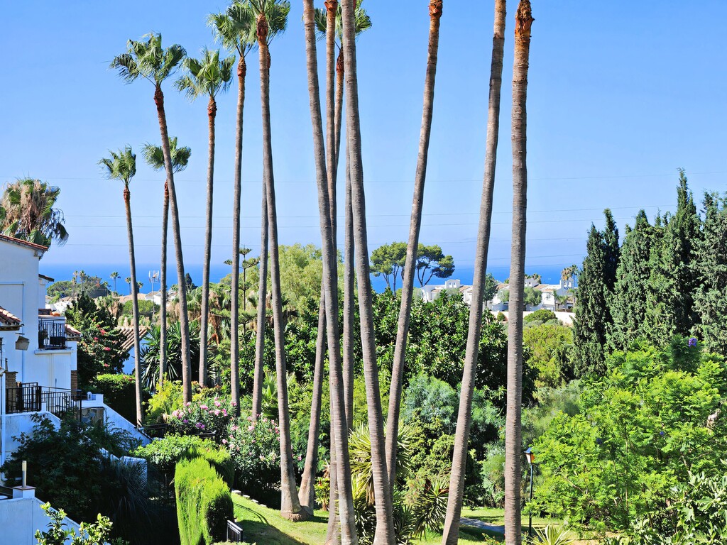 Calahonda townhouse with pool (7)
