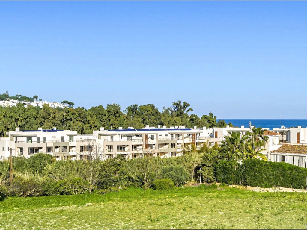 Solemar Casares Playa (29)