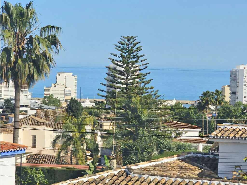 Arroyo de la Miel villa Benalmadena (1)