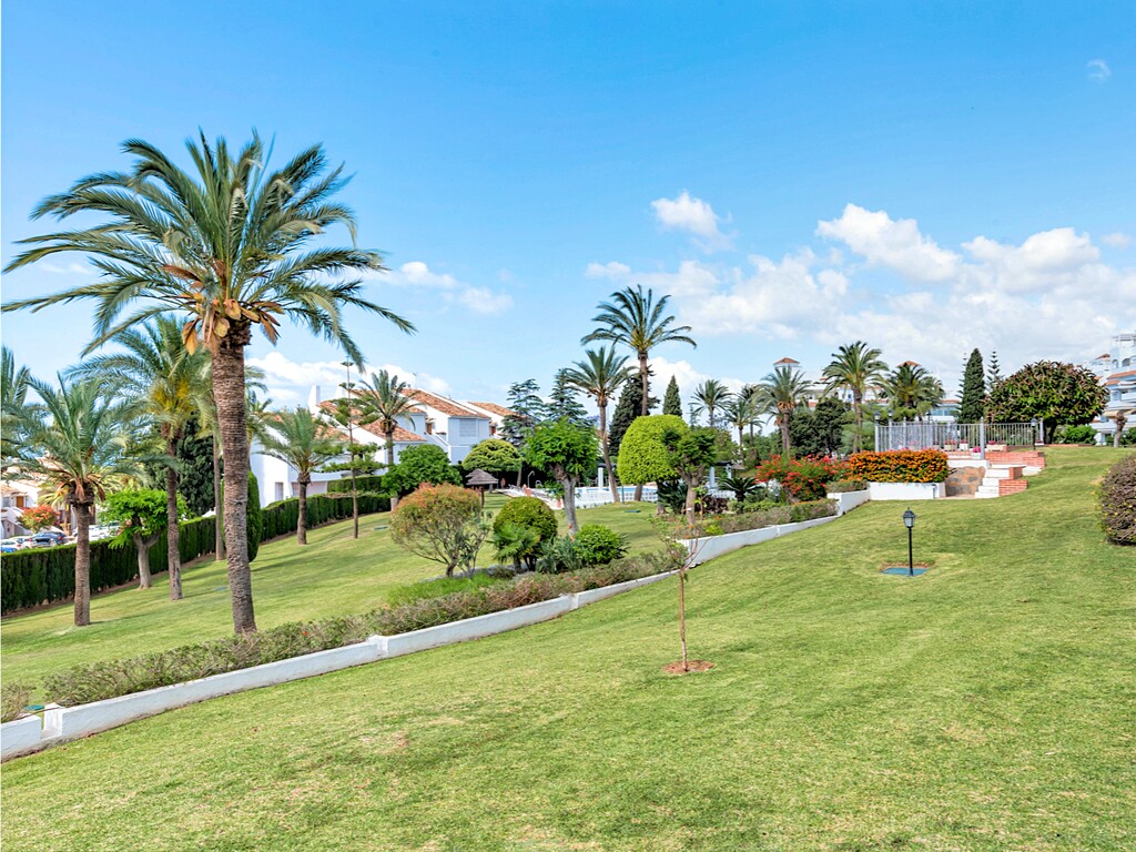 Malambo Nueva Andalucia Marbella_7