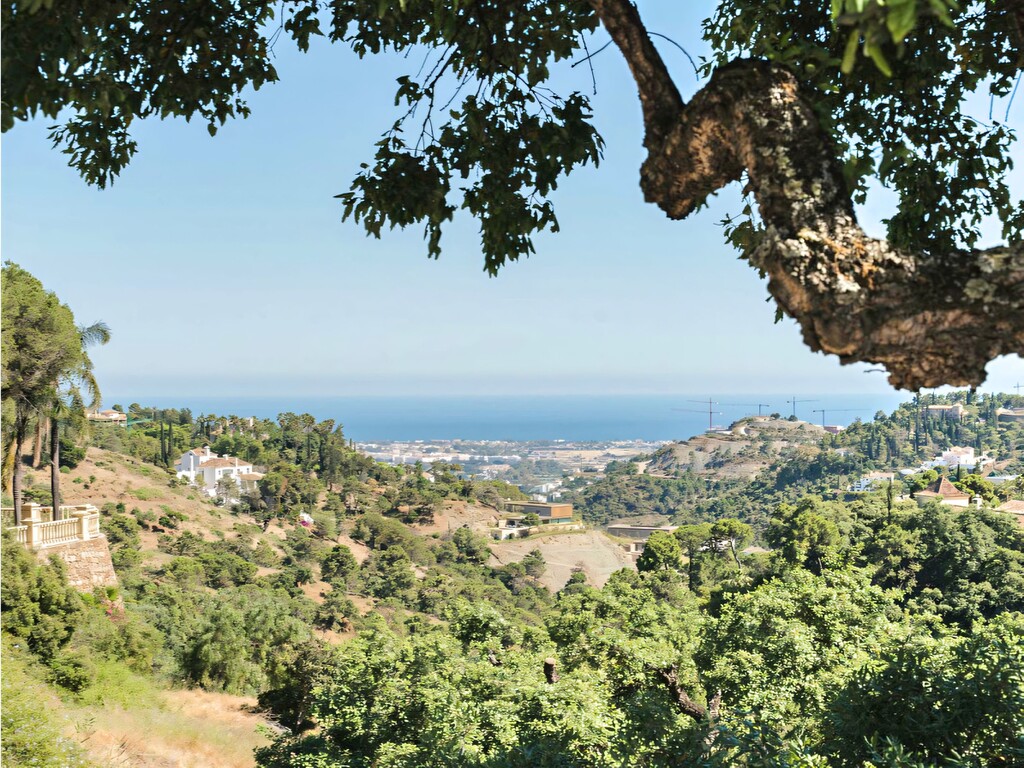 El Madro&ntilde;al Villa_7